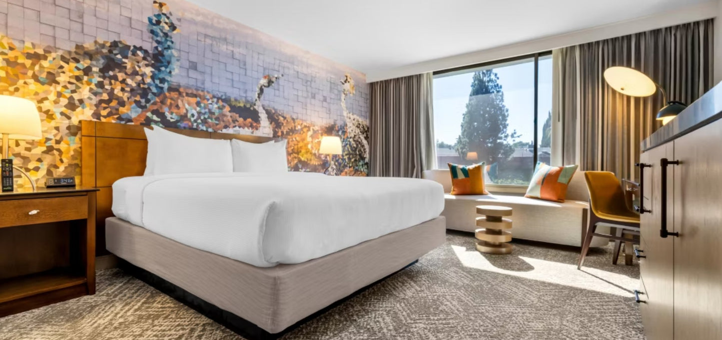 Shakedown Staycation